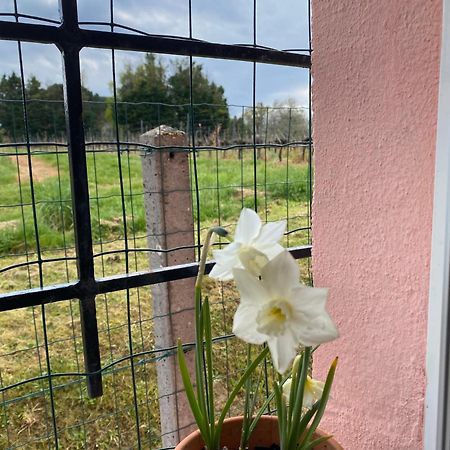Le Bon Coin Apartamento Périssac Exterior foto